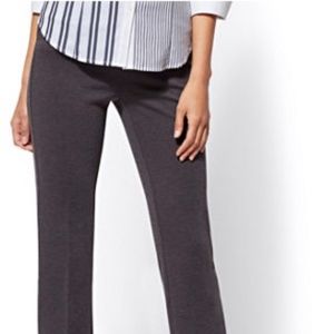 New York & Company - 7th Avenue Pant - Pull-On